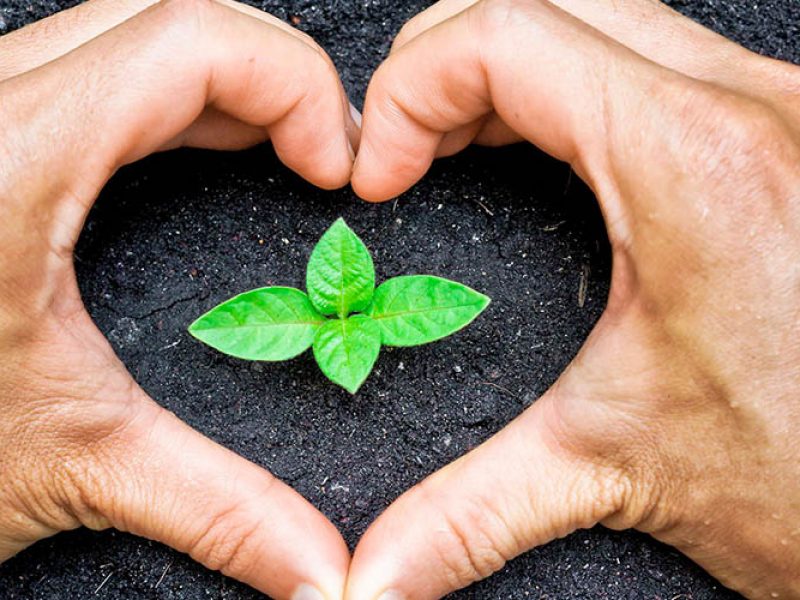 responsabilidade-ambiental